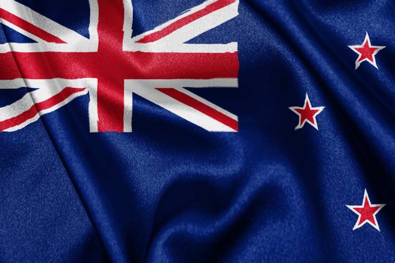 What are the Benefits of the New Zealand Global Impact Visa?