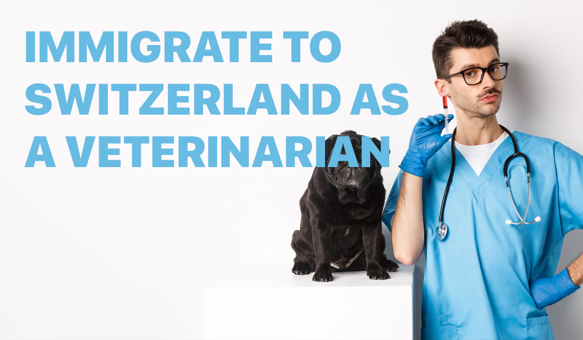 How to work and immigrate to Switzerland as a veterinarian